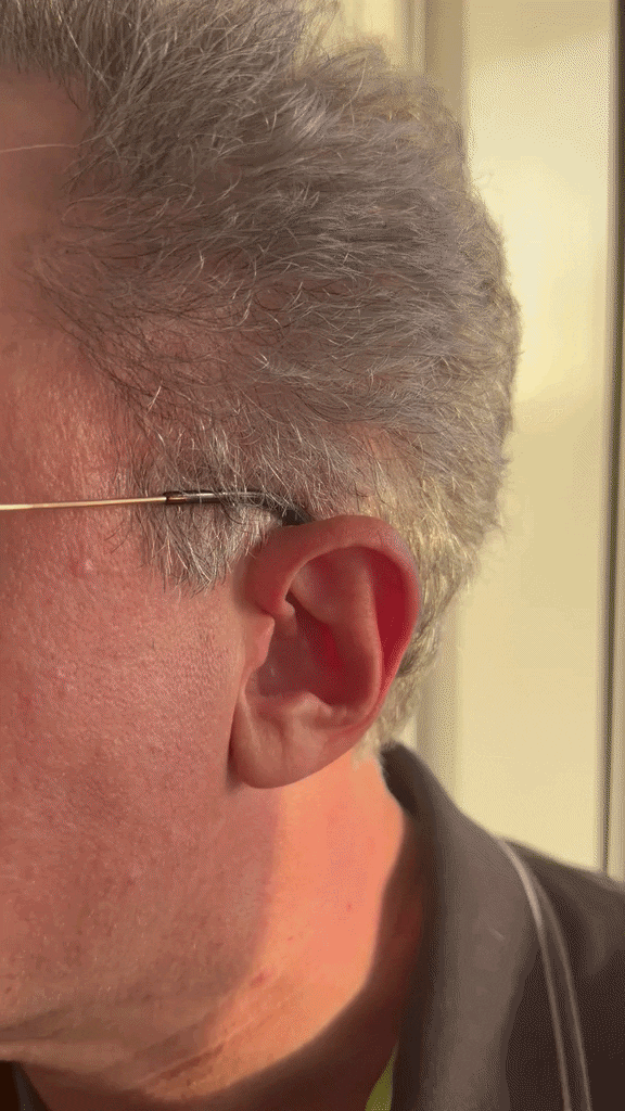 Advanced Earbuds Protection System