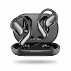 Lingo AI Earbuds