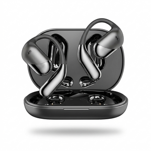 Lingo AI Earbuds